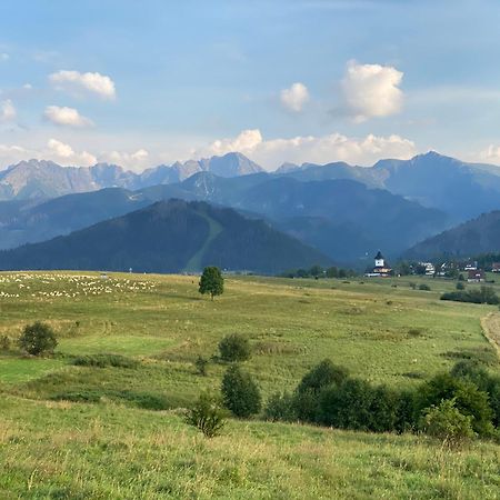 Apartament Pod Wierchem Zakopane Buitenkant foto