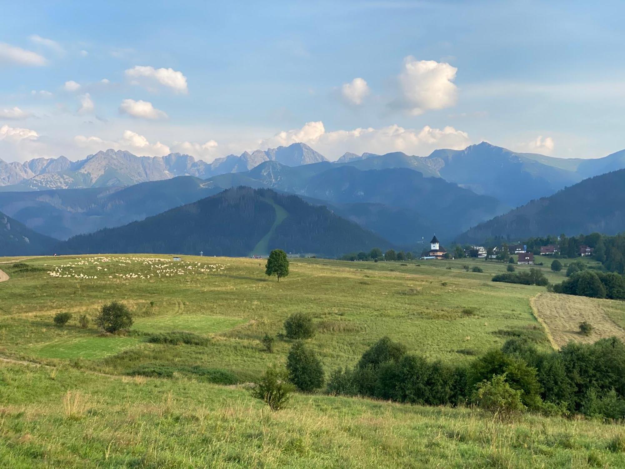 Apartament Pod Wierchem Zakopane Buitenkant foto